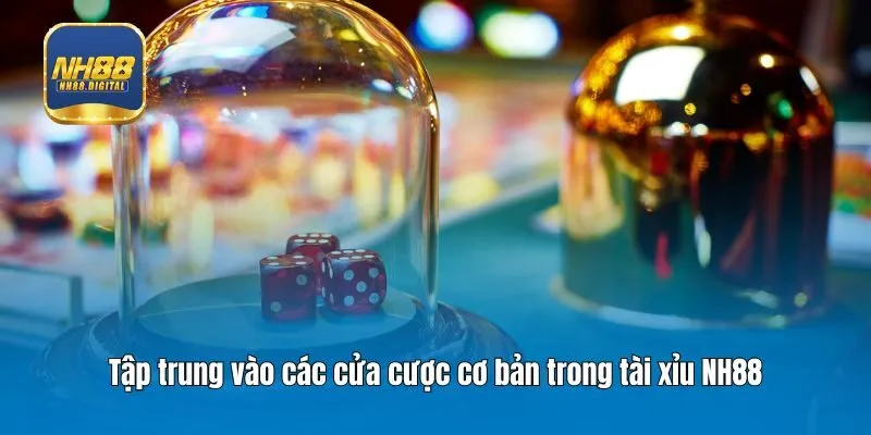 Tập trung vào các cửa cược cơ bản trong tài xỉu NH88